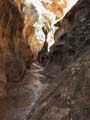 Bryce Canyon - Willis Creek Slot Canyon